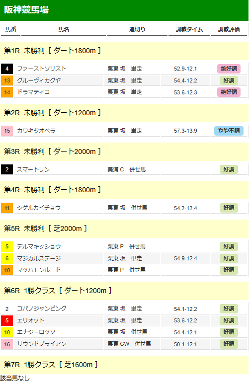 調教分析レポート簡易版